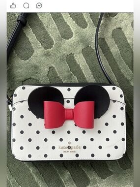 Kate Spade Minnie Mouse Camera Bag